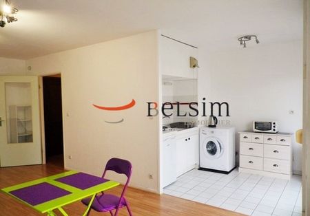 Appartement 1 pièce à Montigny-lès-Metz - Photo 2