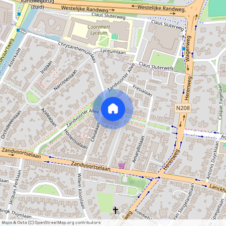 Zandvoortselaan en Berkenrode en omgeving, 2106 CB, Laan van Rozenburg, Heemstede