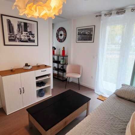 Location Appartement 1 pièce 20m² LA SOURCE 45100 - Photo 1