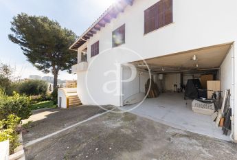 Ground floor apartment for rent in Palmanova