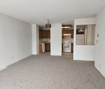 Large Bright Two Bedroom, - Photo 2