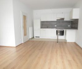 Liebknechtstr. 58, Wohnung 3 ~~~ Einbauküche, Balkon, Tageslichtbad... - Photo 5