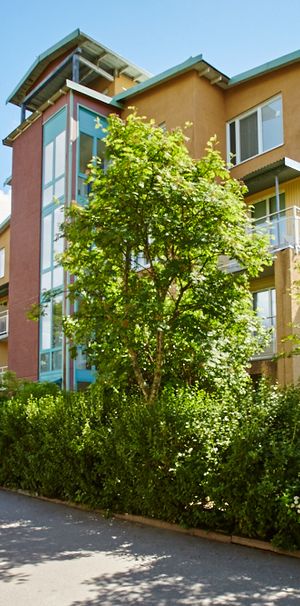 Gäststuguvägen 3 - Photo 1