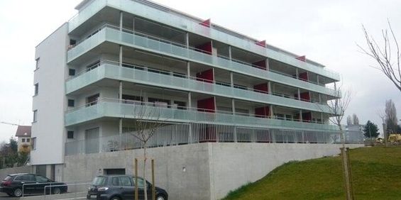 SUPERB APARTMENT IN ESTAVAYER-LE-LAC - Photo 3