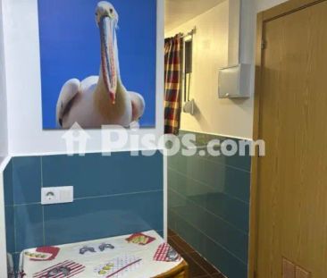 Estudio en alquiler en Collblanc - Foto 5
