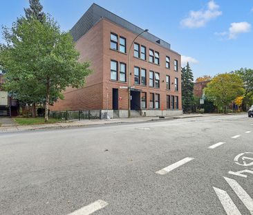 3844 Rue Saint-Jacques, Montréal, QC - Photo 4