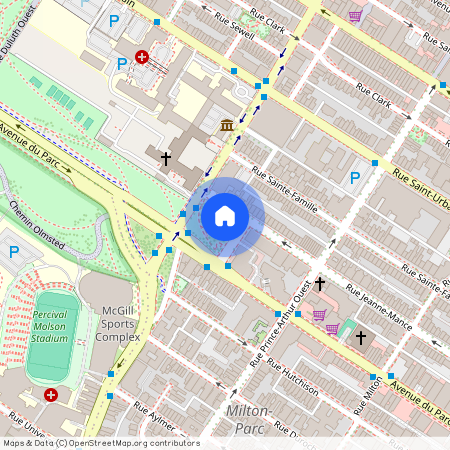 3722 Rue Jeanne-Mance H2X2K5, Montreal