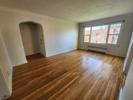 5 - 649 Rideau Street - Photo 5