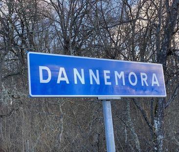 Dannemora: Trea i kulturmiljö - Photo 3