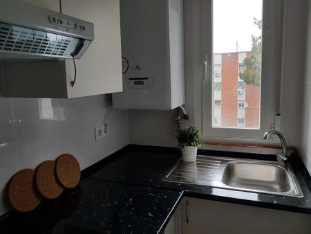 Calle Arroyo del Olivar, Madrid, Community of Madrid 28018 - Photo 3