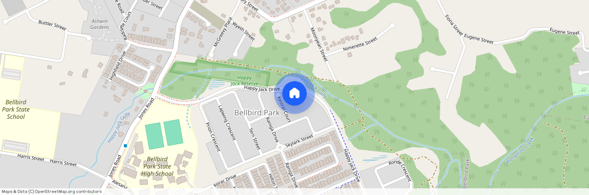 117 Happy Jack Drive, Qld 4300, Bellbird Park