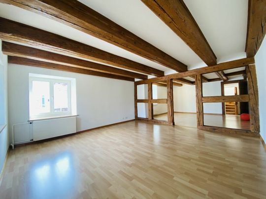 Rustikale Wohnung mit Parkplatz, Estrich und Gartensitzplatz - Photo 1