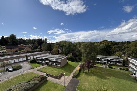 Richmond Hill Road, BIRMINGHAM - Photo 4