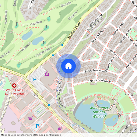 165 Barbarich Drive, Stonefields, Auckland City