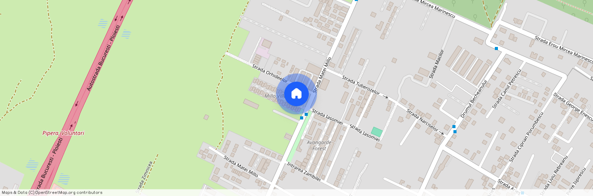 Bucuresti-Ilfov, Voluntari