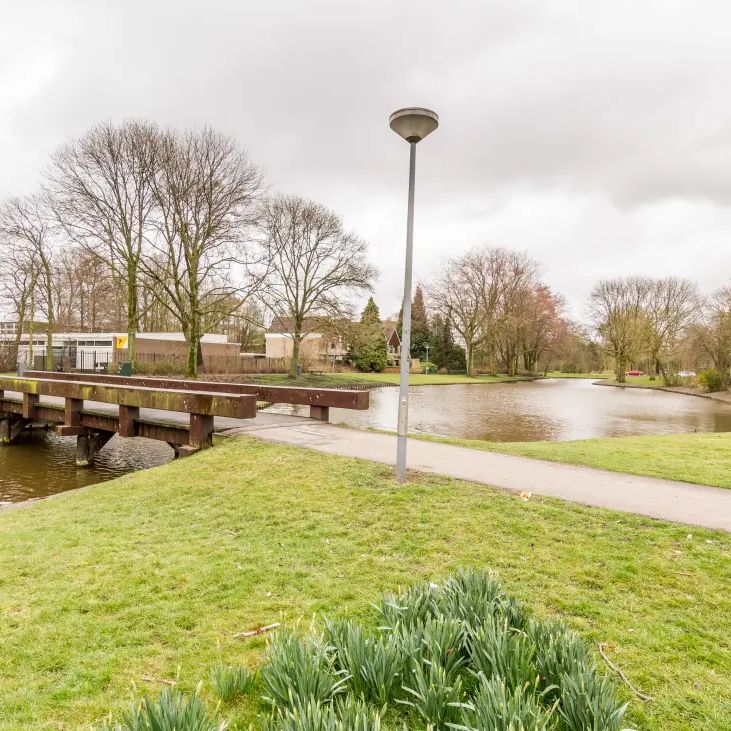 Balsemkruid 24 - Foto 2