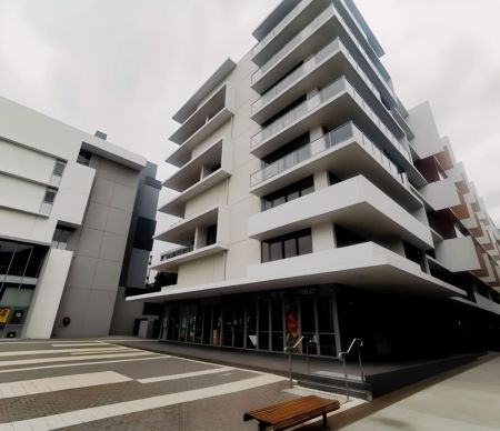 19 Joynton Avenue Zetland, Sydney - Photo 5