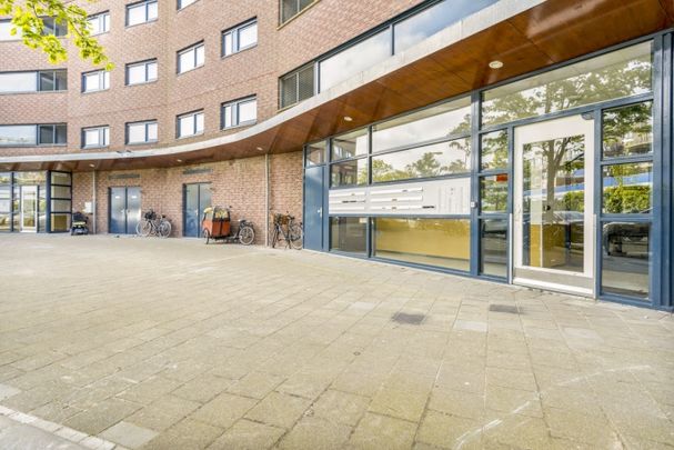 Til Brugmanplantsoen 16, 2525 ZZ, 's-Gravenhage - Photo 1