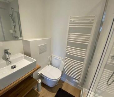 Appartement à louer, 1 pièce - Angers 49100 - Photo 3