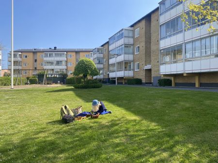 Bergstrands väg, Simrishamn - Photo 4