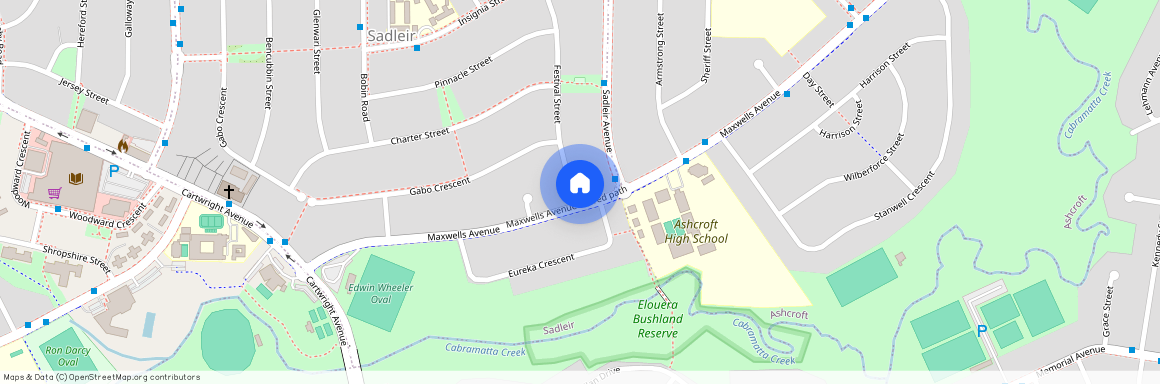 127 Maxwells Avenue, NSW 2168, Sadleir