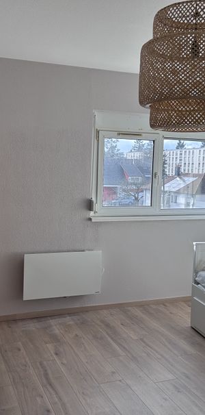 Location Appartement 1 pièce 22m² ILLZACH 68110 - Photo 1
