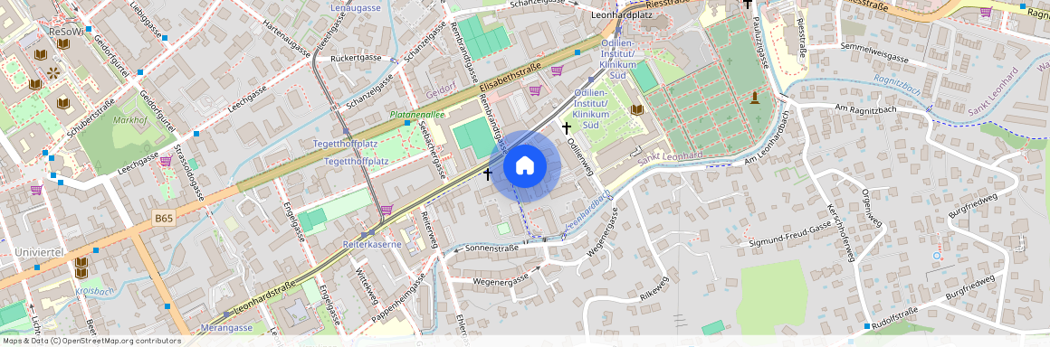 Leonhardstraße 110 / 1.4 Top 10, 8010 Graz