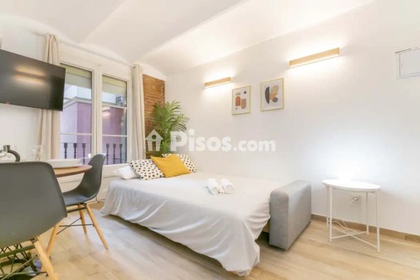 Estudio en alquiler en Carrer de les Carretes, 75, cerca de Carrer de l' Arc de Sant Pau - Foto 1