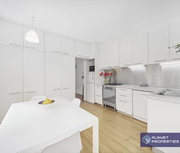 49 Darley Street, Newtown NSW 2042 - House For Rent | Domain - Photo 6