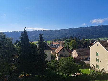 CHASSERON 24, Appartement de 2.5 pièces neuf et aux poutres apparentes - Foto 5