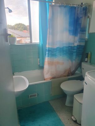 Hurlstone Park - Photo 1