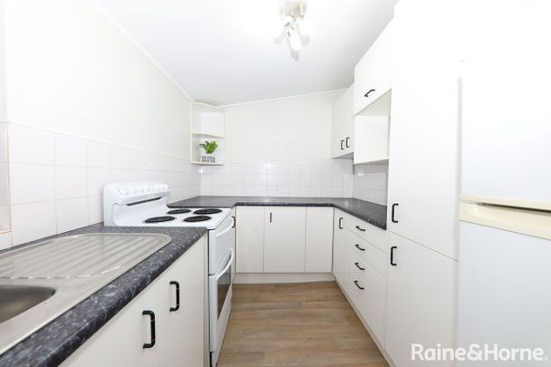 Charming Freestanding Home with Courtyard in the Heart of Woollahra - Photo 1