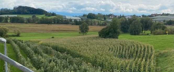 Wohnung für 3 Monate, Januar - März 2026 - Photo 1