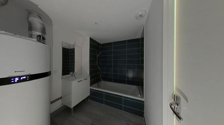 Location Appartement 2 pièces 49m² AMBOISE 37400 - Photo 2