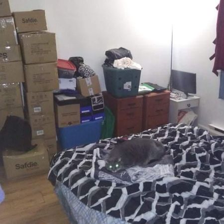 CONTRECOEUR BEAU 3 1/2 DEVANT PARC ET CPE 1er novembre - Photo 3