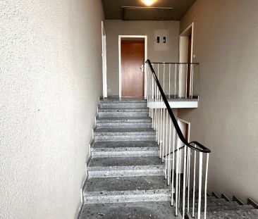 Düsseldorf-Heerdt! Frisch renoviertes 1-Zimmer-Apartment mit großem... - Foto 6