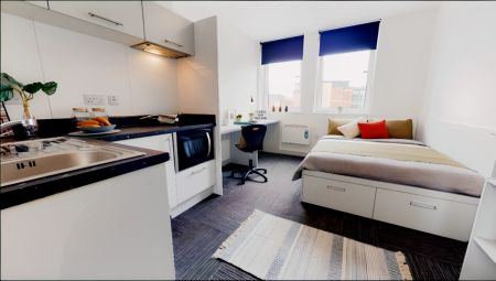 Bronze Studio Plus - Photo 2