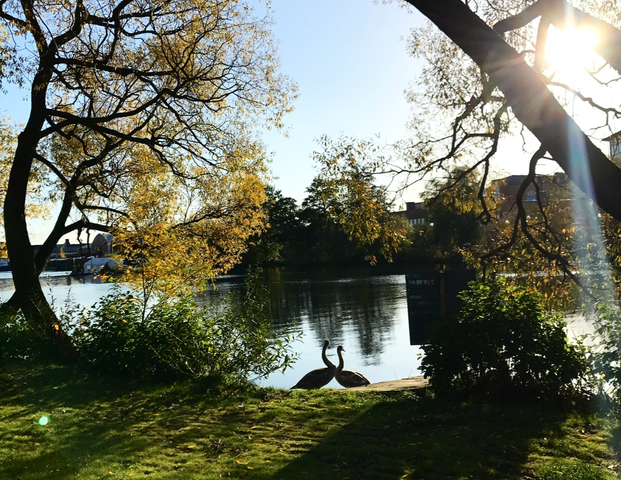 Lötsjövägen, Sundbyberg - Photo 1