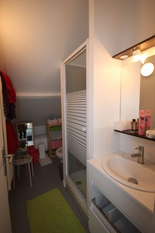 Location Appartement 1 pièce 22m² LILLE 59000 - Photo 2