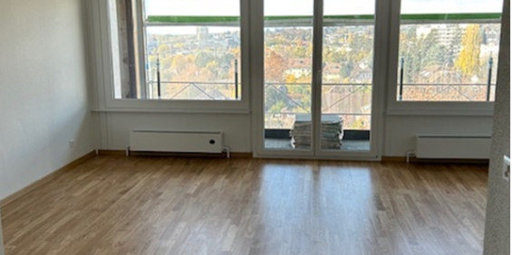 Avenue de Lonay 5, Morges - Photo 3