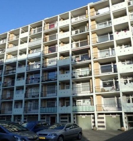 Louis Davidsstraat 2551 EA 's-Gravenhage - Foto 4