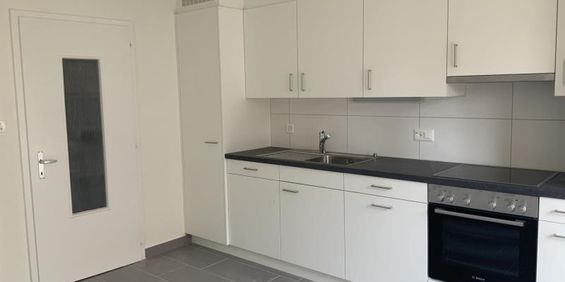 Grand appartement de 4 1/2 pièces dans un quartier ensoleillé - Photo 3