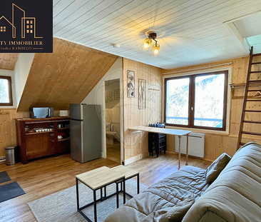 Location Appartement 1 pièce 18m² ST JEOIRE 74490 - Photo 3