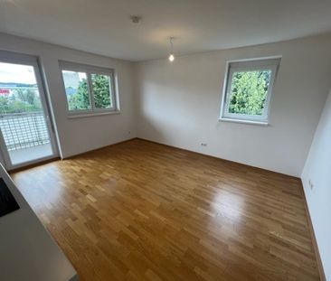 PROVISIONSFREI – Jakomini – 56 m² – 3 Zimmer – WG geeignet – großer... - Photo 5