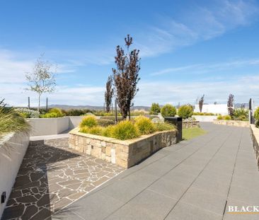 934/335 Anketell Street, Greenway ACT 2900 - Apartment For Rent | D... - Photo 2