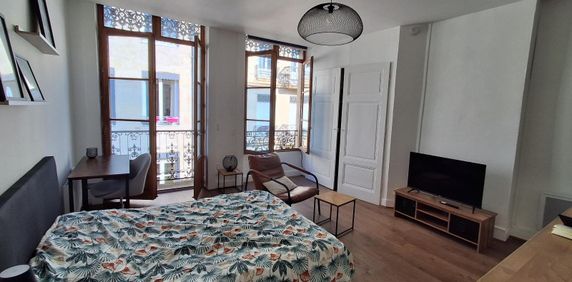 Location Appartement 1 pièce 37m² ST ETIENNE 42000 - Photo 2