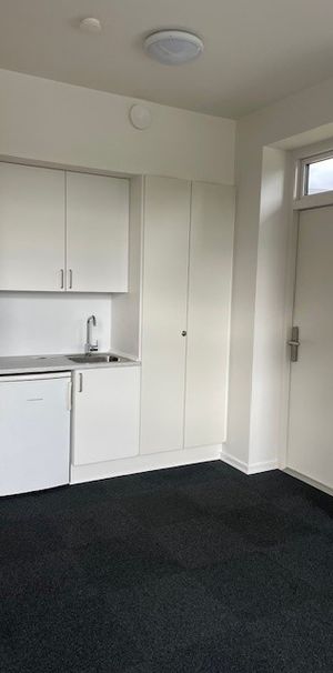 Dejlig 1-værelses lejemål i Ringe - Photo 1