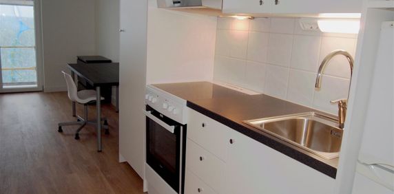 Carl Krooks gata 25 C - Photo 2