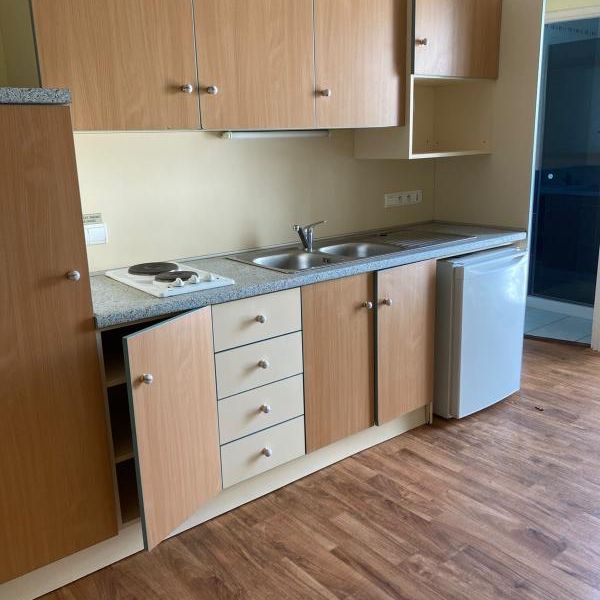 Location Appartement 1 pièce 19m² NANTES 44000 - Photo 1