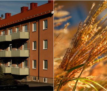 Strömstadsvägen, Uddevalla - Foto 1